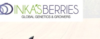 Inka's Berries